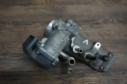 Article 5ENM