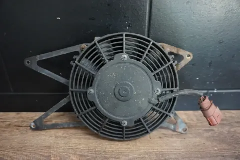 Article GLVD