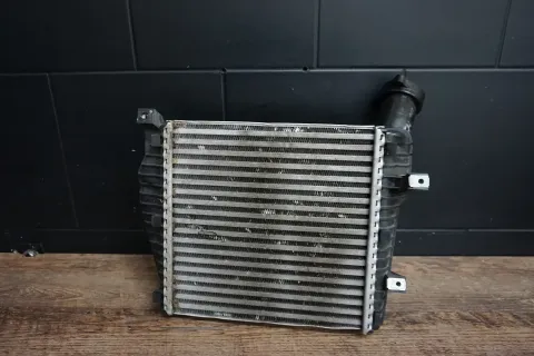 Article X5DG