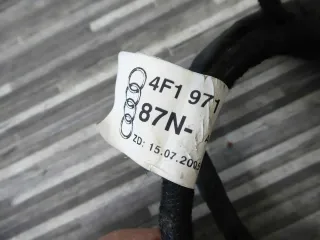 Audi A6 S6 RS6 4F C6 Kabelbaum Kabel Türkabelbaum hinten links 4F1971687n - Bild 3
