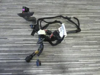 AUDI A8 4E D3 TÜRKABELBAUM TÜR KABELBAUM vorne links 4E0971029CQ - Bild 1