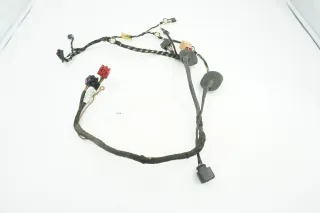 VW T5 2008 Türkabelbaum vorne vorne links 7H0971161NE Kabelbaum Tür - Bild 1