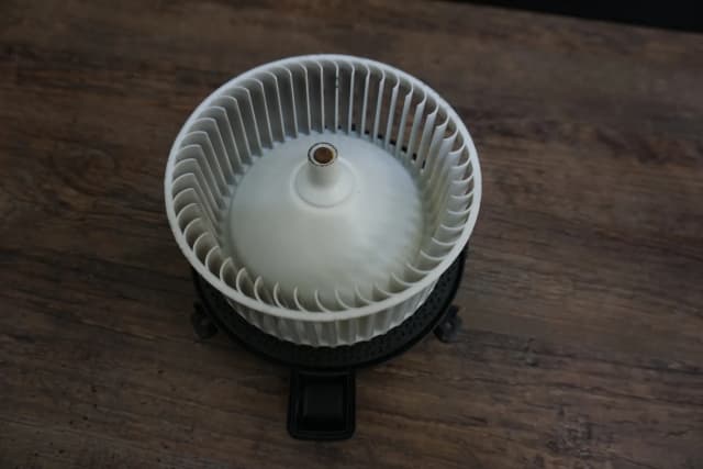 Article XWOZ