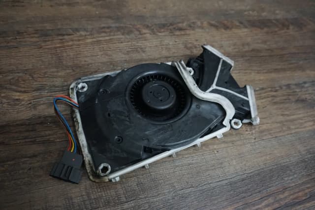 Article WDZB